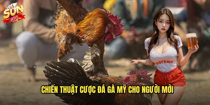 Đá gà mỹ sunwin - Phong cách Mỹ đậm chất võ thuật và chuyên nghiệp 3 Chiến thuật cược đá gà mỹ cho người mới
