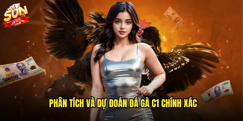 Sunwin đá gà C1 - Giải đấu gà hạng nhất với phần thưởng khủng 3 Phân tích và dự đoán đá gà C1 chính xác