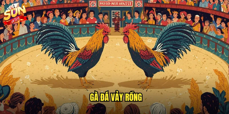 Gà đá vảy rồng sunwin - Giống gà quý hiếm với sức chiến đấu phi thường 1 gà đá vảy rồng