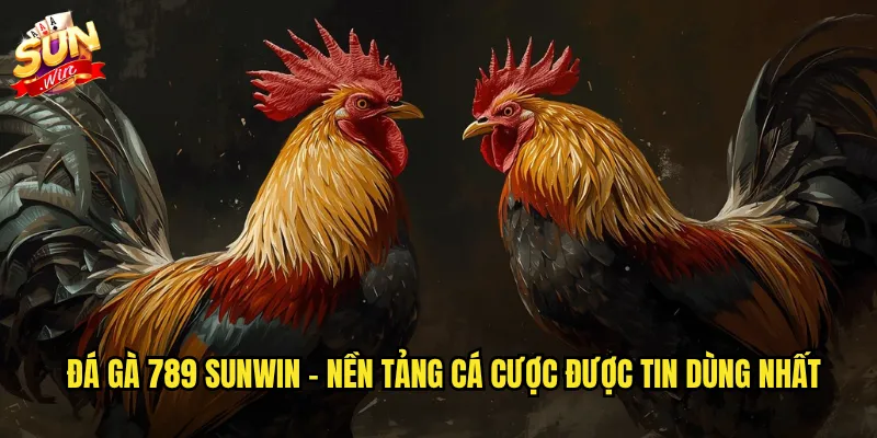 Sunwin đá gà 789 - Thương hiệu đá gà uy tín với tỷ lệ kèo hấp dẫn 2 Đá gà 789 sunwin - Nền tảng cá cược được tin dùng nhất