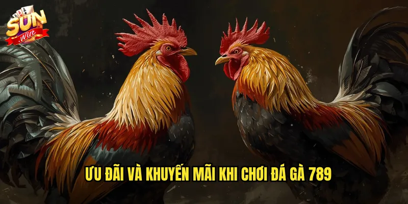 Sunwin đá gà 789 - Thương hiệu đá gà uy tín với tỷ lệ kèo hấp dẫn 3 Ưu đãi và khuyến mãi khi chơi đá gà 789