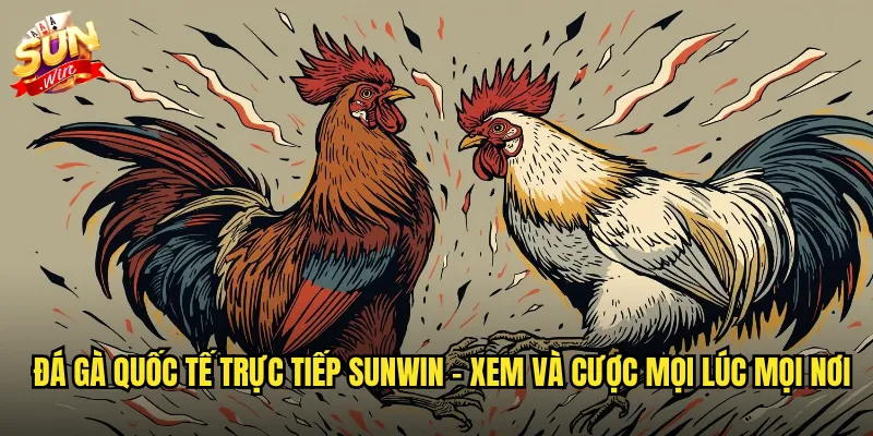 Đá gà quốc tế trực tiếp sunwin - Kết nối với các trường gà lớn toàn cầu 2 Đá gà quốc tế trực tiếp sunwin - Xem và cược mọi lúc mọi nơi