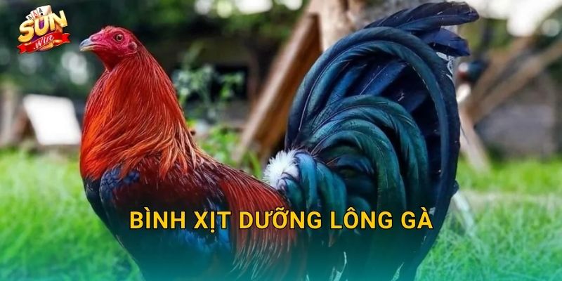 Bình Xịt Dưỡng Lông Gà Sunwin – Giữ Bộ Lông Chiến Kê Óng Mượt Và Khỏe Khoắn 1 Bình Xịt Dưỡng Lông Gà Sunwin – Giữ Bộ Lông Chiến Kê Óng Mượt Và Khỏe Khoắn