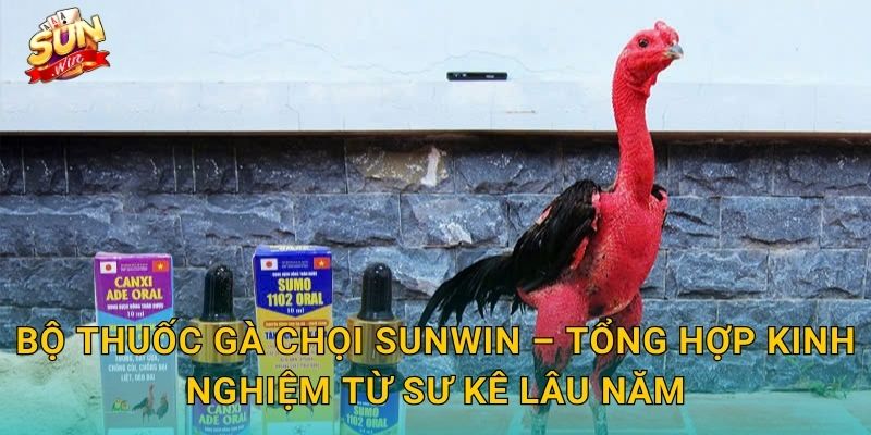 Bộ Thuốc Gà Chọi Sunwin – Trọn Bộ Dưỡng Chất Đưa Chiến Kê Lên Đỉnh Phong Độ 3 Bộ Thuốc Gà Chọi Sunwin – Tổng Hợp Kinh Nghiệm Từ Sư Kê Lâu Năm