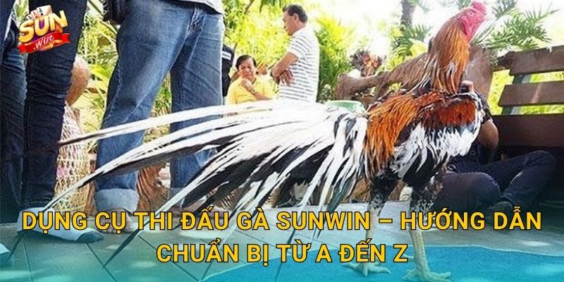 Dụng Cụ Thi Đấu Gà Sunwin – Trang Bị Đầy Đủ Trước Khi Bước Vào Đấu Trường 3 Dụng Cụ Thi Đấu Gà Sunwin – Hướng Dẫn Chuẩn Bị Từ A Đến Z