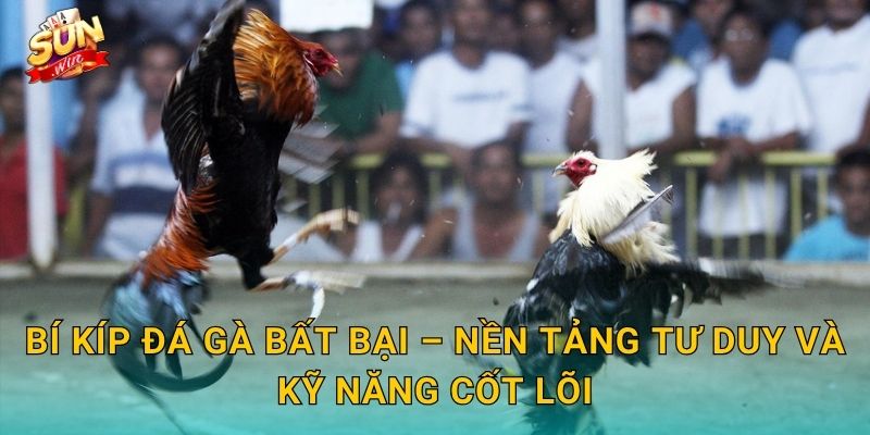 Bí Kíp Đá Gà Bất Bại Sunwin – Chiến Lược Đỉnh Cao Từ Các Sư Kê Hàng Đầu 2 Bí Kíp Đá Gà Bất Bại – Nền Tảng Tư Duy Và Kỹ Năng Cốt Lõi