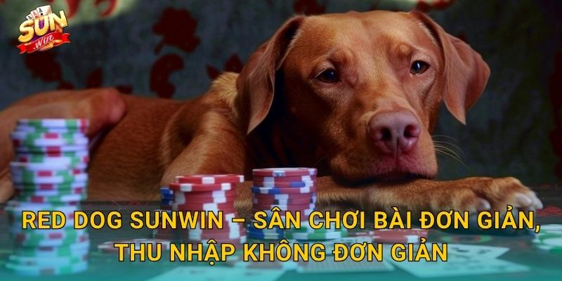 Red Dog Sunwin – Trò Chơi Bài Cổ Điển Đơn Giản Nhưng Kịch Tính Đến Tận Phút Chót 3 Red Dog Sunwin – Sân Chơi Bài Đơn Giản, Thu Nhập Không Đơn Giản
