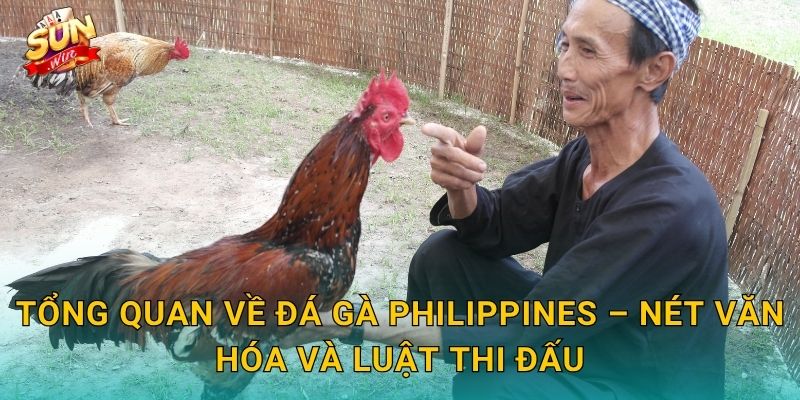 Đá Gà Philippines Sunwin – Đấu Trường Gà Chọi Xứ Vạn Đảo Kịch Tính Nhất 2 Tổng Quan Về Đá Gà Philippines – Nét Văn Hóa Và Luật Thi Đấu