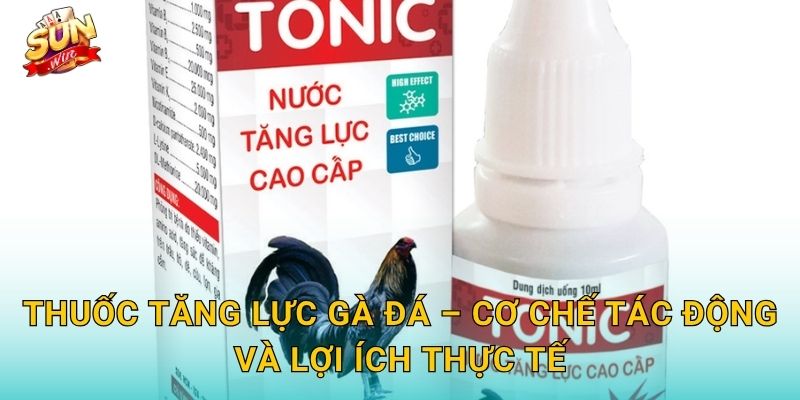Thuốc Tăng Lực Gà Đá Sunwin – Công Thức Vàng Nâng Cao Sức Chiến Đấu Cho Chiến Kê 2 Thuốc Tăng Lực Gà Đá – Cơ Chế Tác Động Và Lợi Ích Thực Tế