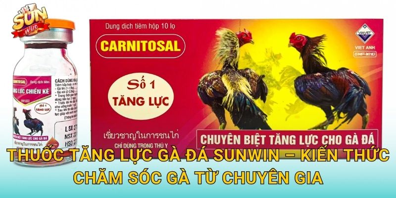 Thuốc Tăng Lực Gà Đá Sunwin – Công Thức Vàng Nâng Cao Sức Chiến Đấu Cho Chiến Kê 3 Thuốc Tăng Lực Gà Đá Sunwin – Kiến Thức Chăm Sóc Gà Từ Chuyên Gia